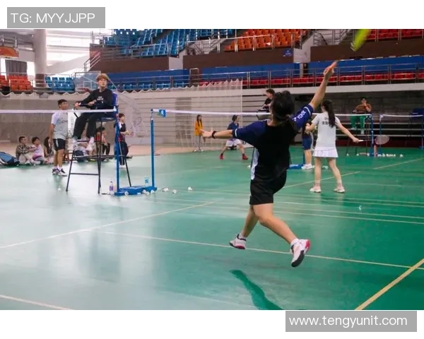 武汉羽毛球队的阵地战揭秘深度解析羽毛球竞技背后的故事与策略